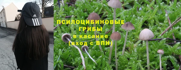 спиды Красноперекопск
