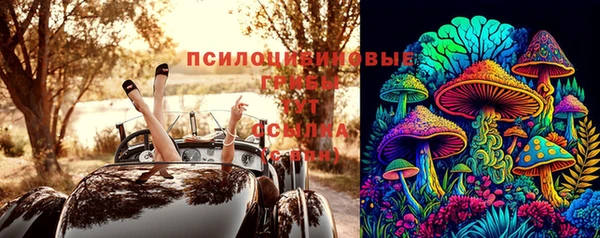 ешки Краснослободск