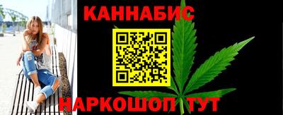 крисы Аргун